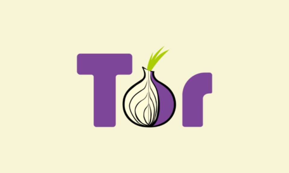 What is Tor Browser and How Does It Work