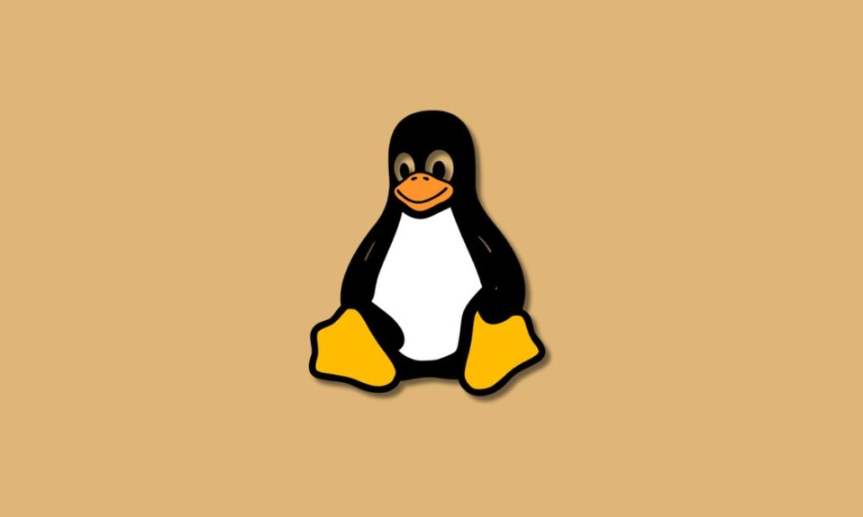 Benefits of Using a Linux Operating System